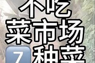 离谱！对阵火箭 太阳首节抢下了23个篮板